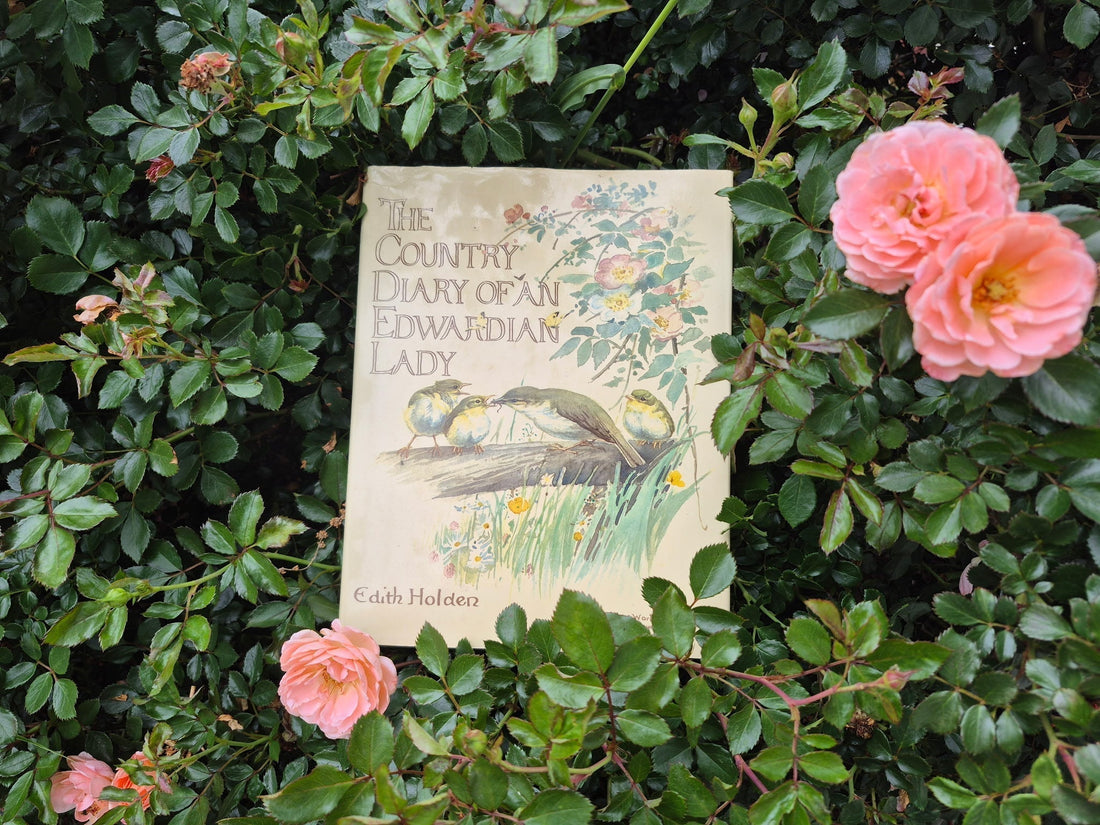 The Country Diary Of An Edwardian Lady - A Book Review