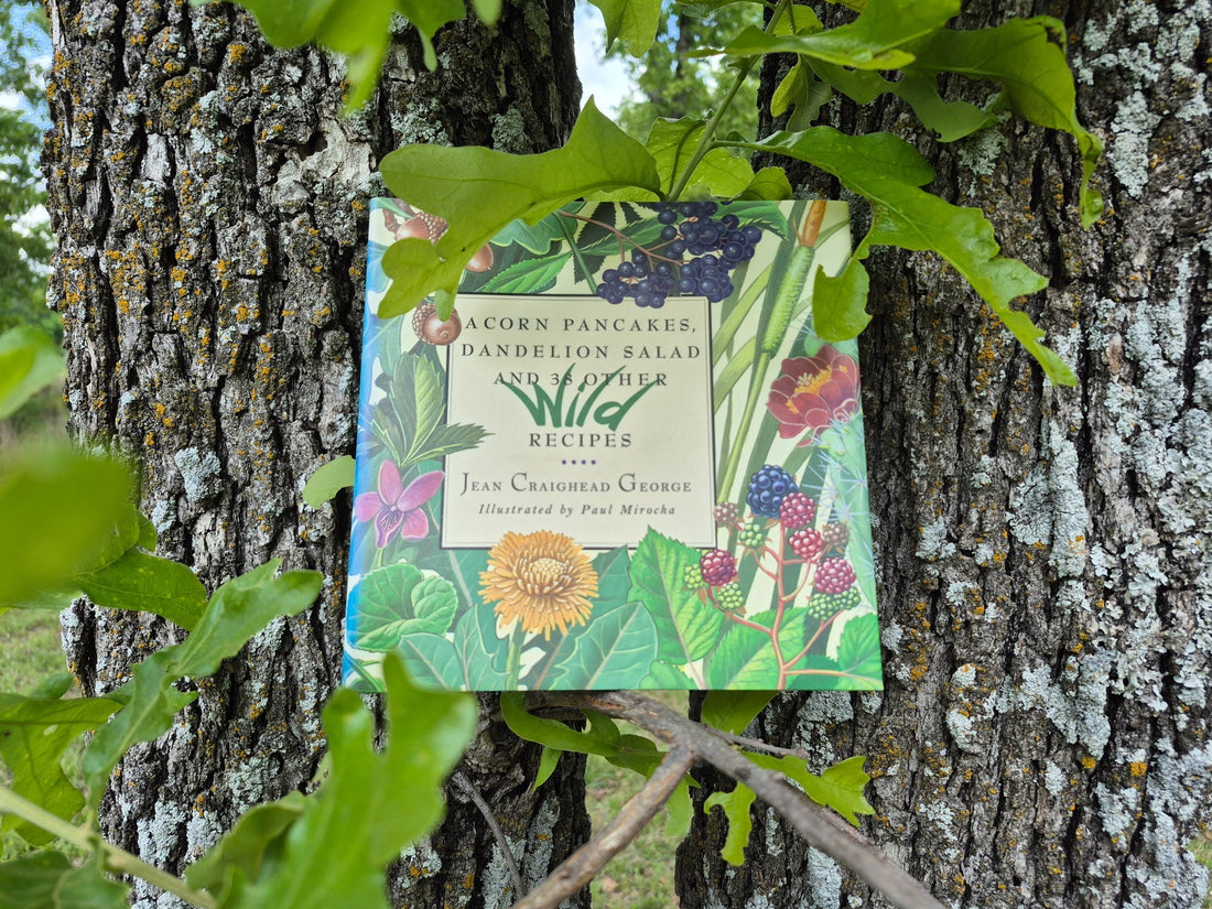 Acorn Pancakes, Dandelion Salad And 38 Other Wild Recipes - A Book Review
