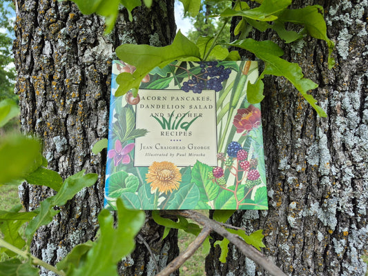 Acorn Pancakes, Dandelion Salad And 38 Other Wild Recipes - A Book Review