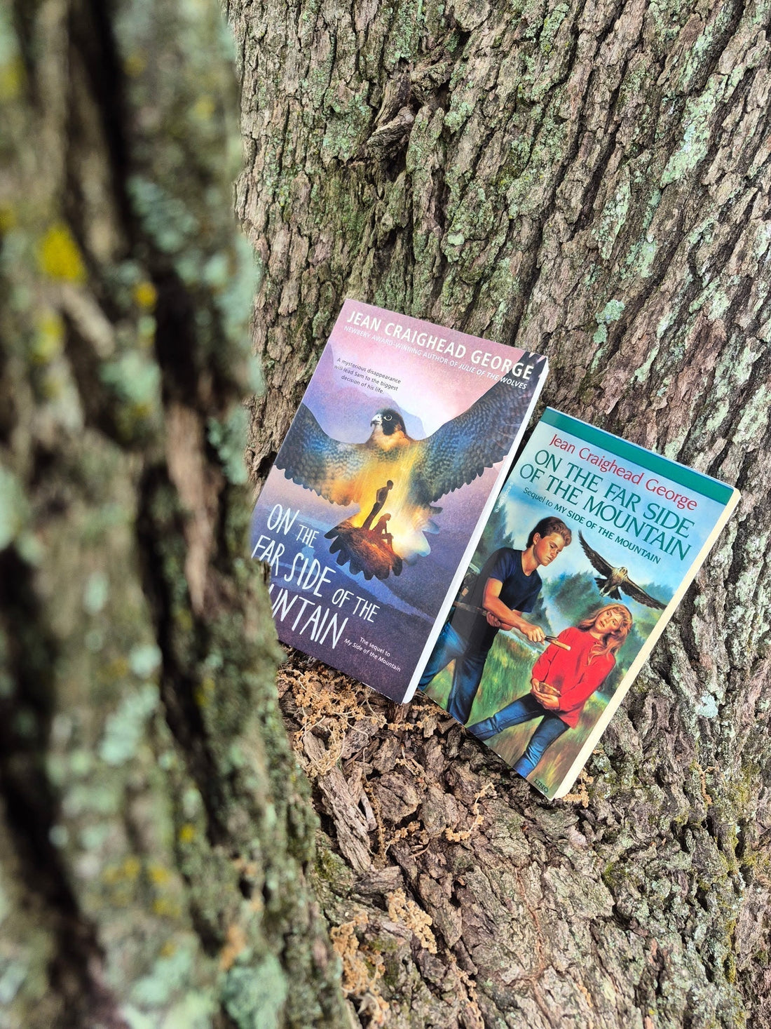 On The Far Side Of The Mountain - A Book Review