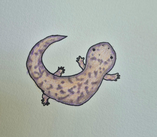 Celebrating The Giant Pepper Fish