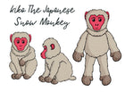 Keiko the Japanese Snow Monkey